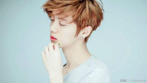 网易娱乐频道鹿晗吃瓜,娱乐圈新热点引发网友热议