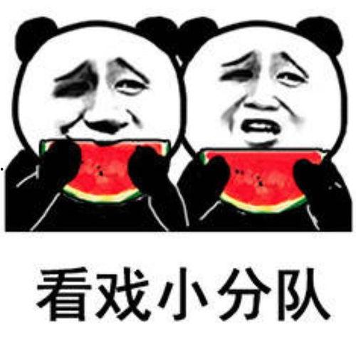 表情包的吃瓜是什么意思,网络热词背后的文化现象