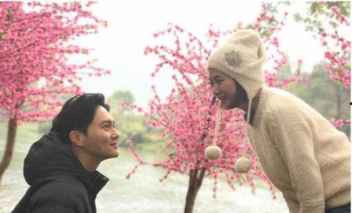 娱乐圈心声吃瓜