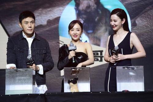 娱乐圈吃瓜爆料关注谁,揭秘热门明星背后的故事